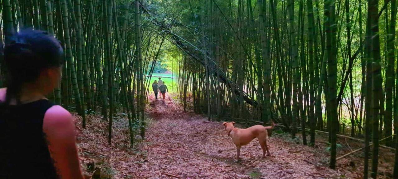 Pousada Green Valley São Roque 외부 사진
